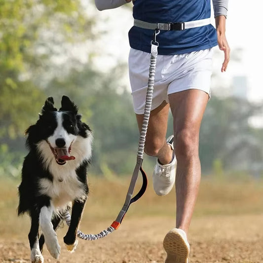 Running Dog Leash – Retractable Hands-Free Leash for Active Pet Owners