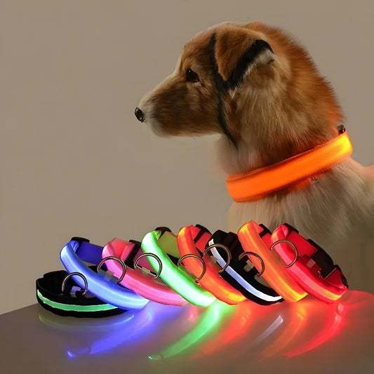 Reflective LED Dog Collar – Light-Up Nylon Pet Accessory for Night Walks