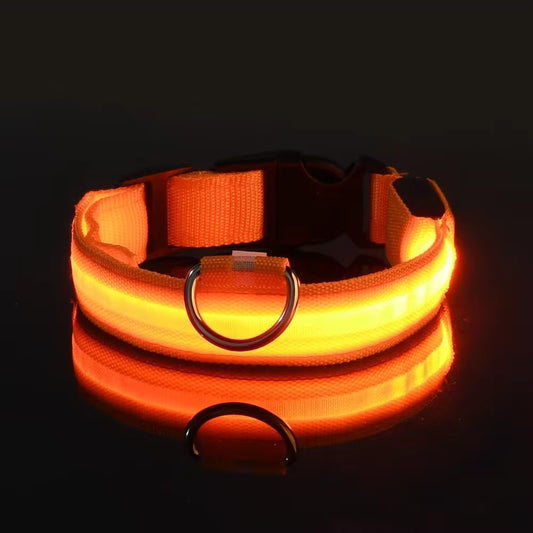 Reflective LED Dog Collar – Light-Up Nylon Pet Accessory for Night Walks